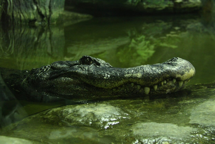 ������ �� ����� ����� ��������� � 2010 ����.