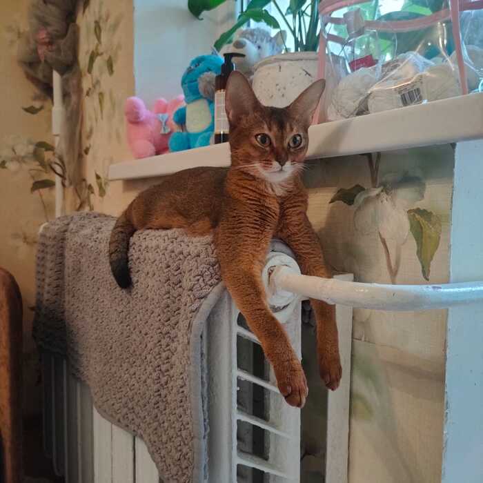 ��������
