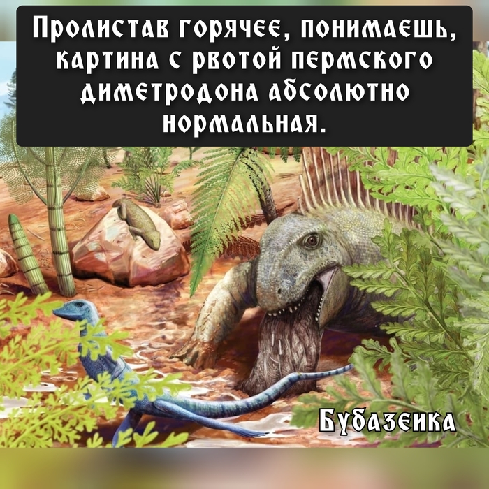 ����