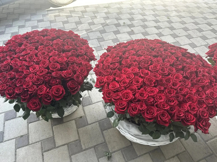 ����: �� ������ ����� ����������.