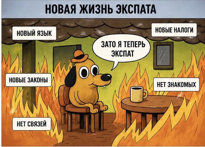 ���� ����� ����