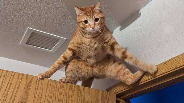 �����