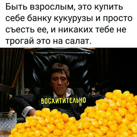 ���� ��������