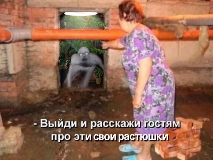 ��������������� ��� ��� ����