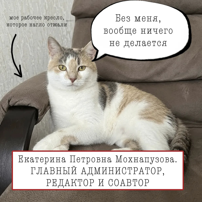 ��� ������� ��������