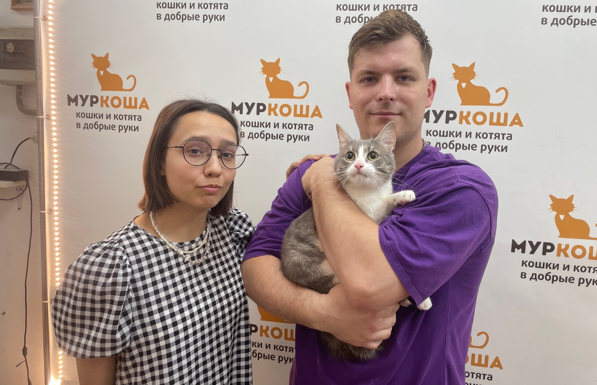 8 kittens have gone home in the last two weeks! - Series Found a home, My, Moscow, Good league, cat, In good hands, Murkosh shelter, Kittens, Paws, Cat lovers, Kindness, Pets, Short videos, Vertical video, Found a home, The photo, Helping animals, Events, Happiness, Miracle, I share my joy, Video, Longpost