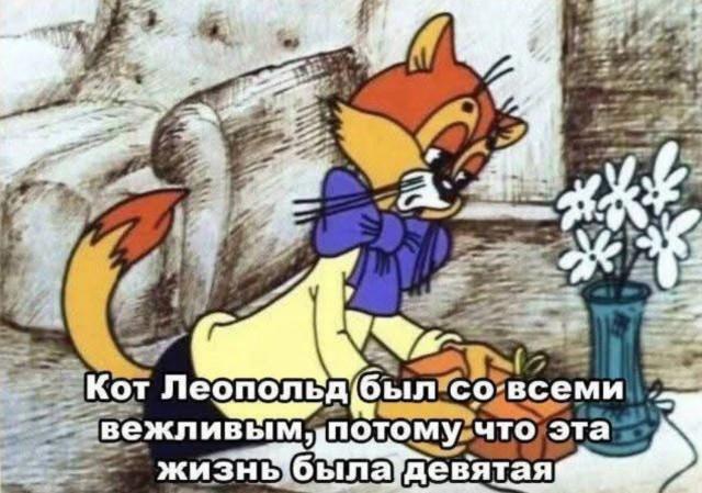 oqlx2bjl.jpg