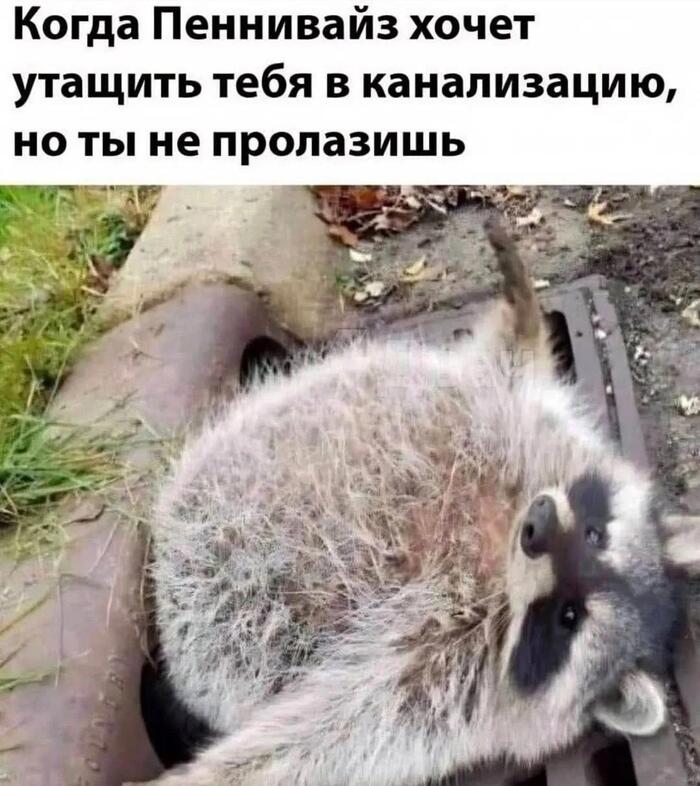 ��� ����� ������ ���� - ���� ������������!!!