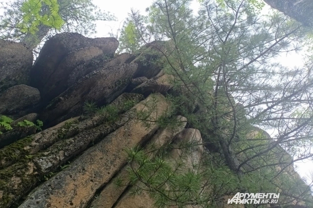 ���������. ����: <a href="https://pikabu.ru/story/opasno_korrespondentyi_aifru_uznali_detali_marshruta_usoltsevyikh_14104644?u=https%3A%2F%2Fkrsk.aif.ru%2F&t=krsk.aif.ru&h=07f9054803b1c08b960038183a0975edff2972f4" title="https://krsk.aif.ru/" target="_blank" rel="nofollow noopener">krsk.aif.ru</a>/ ������� �����������