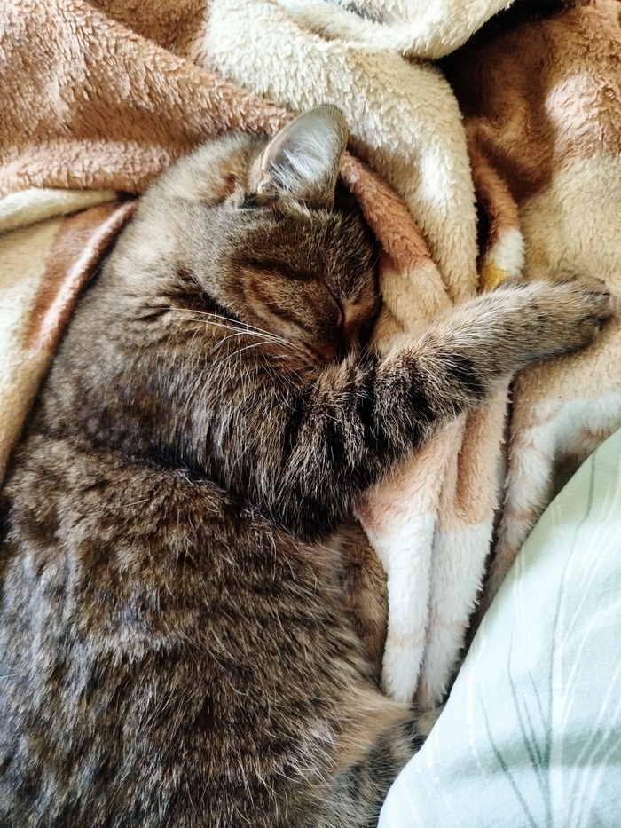 �� ��� ���� ���������...