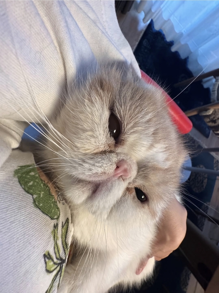 ��� ���