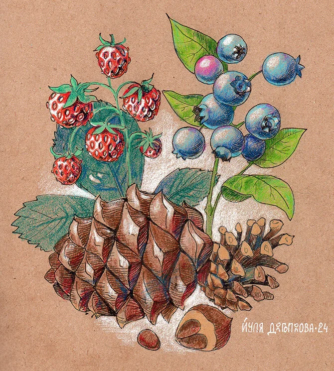 Three techniques for one marathon - My, Marathon, Watercolor, Dry pastel, Colour pencils, Creation, Mushrooms, Plants, Animals, Forest, Taiga, Wolf, Cedar, Cones, Berries, Longpost