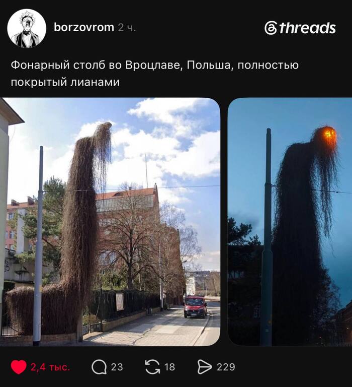 ���� ������ �������, ��������� ����;; ������ ����� �� �������� ��� ����� ��� ����