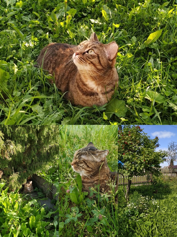 Эх, сейчас бы на природу, а не это вот всё
