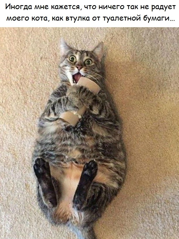 ������