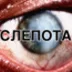MOLODAYKORRUPSIA