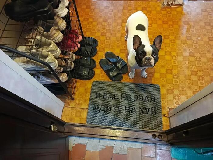 239459095 артикул