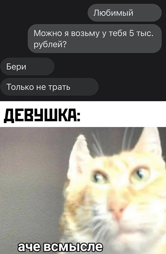 ���� ������ ����������