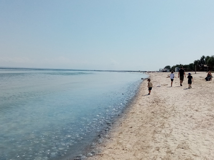 Типичный август на берегу Азовского моря.