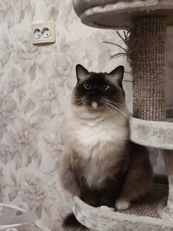 5 лет.