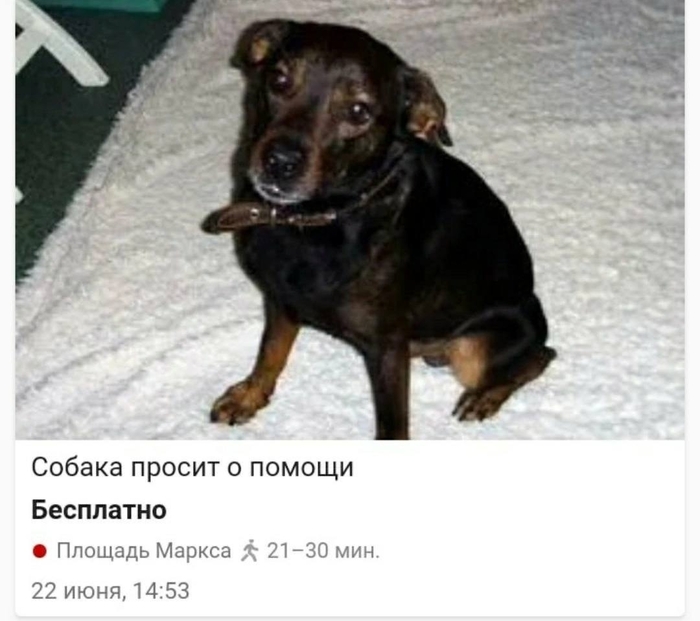 Настроение в последнее время такое