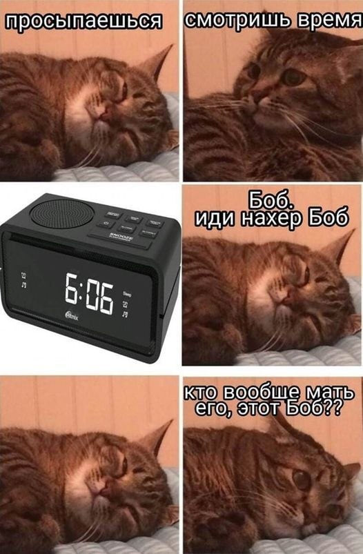��������� ���, ���������!
