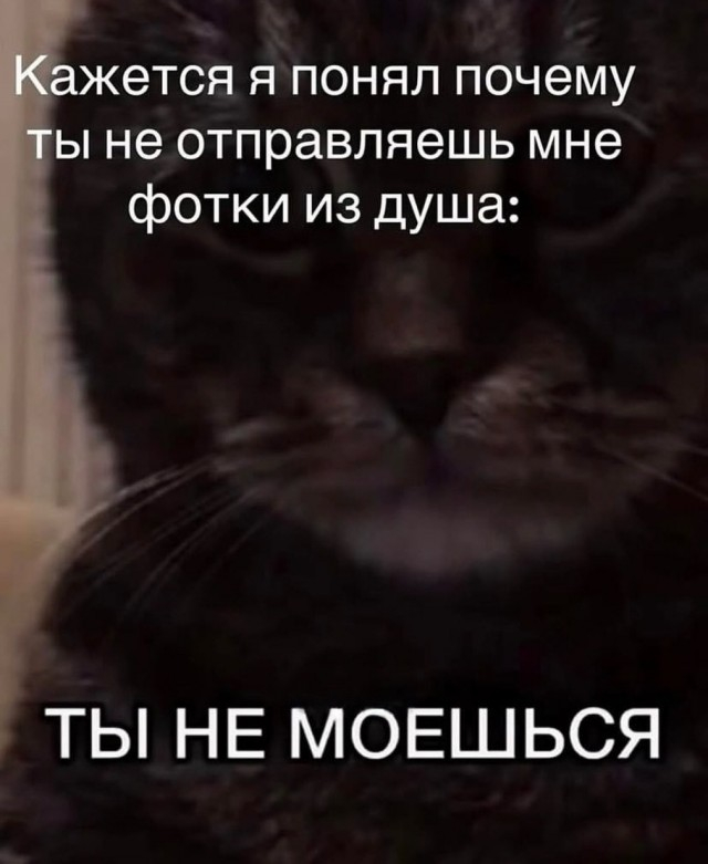 4.