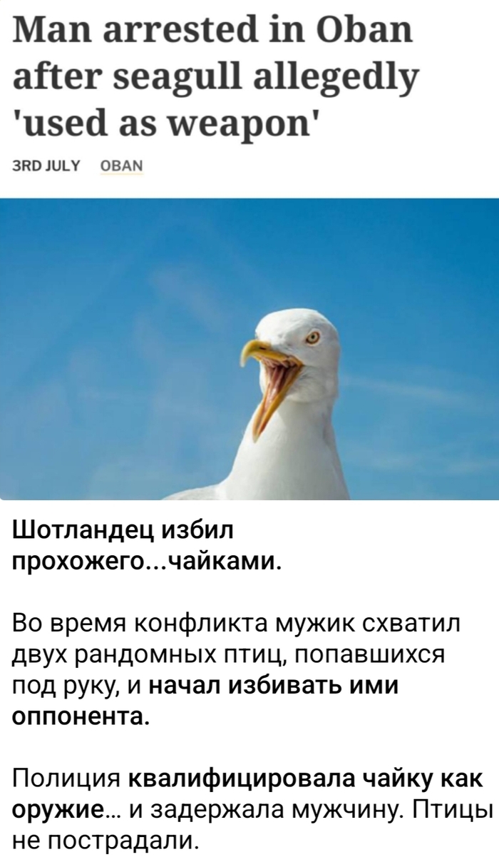 Оружие не пострадало