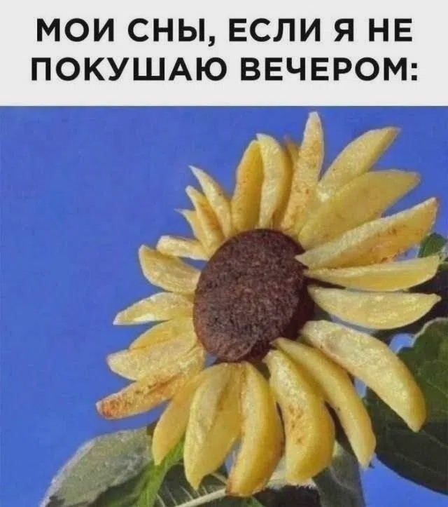 Мои сны...