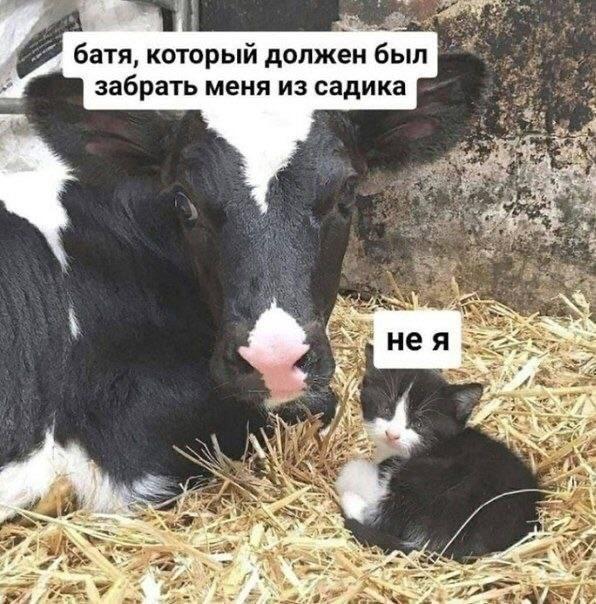 Ну почти