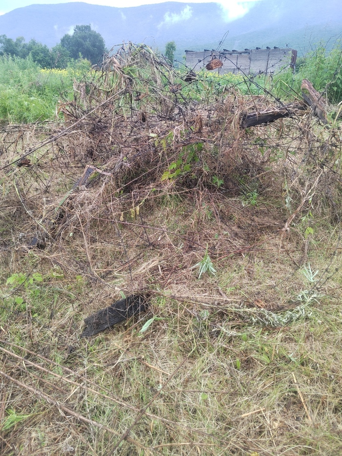 Забор в разобранном виде