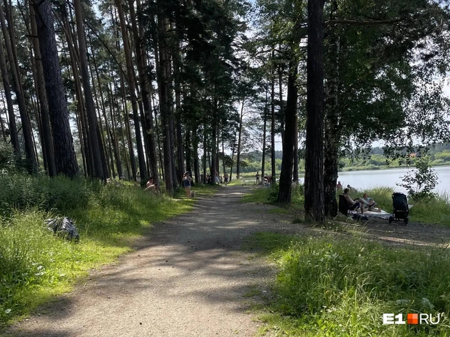 Купаться нельзя Источник: читатель <!--noindex--><a href="https://pikabu.ru/story/priekhali_kakieto_shishki_politseyskie_vyigonyayut_s_plyazha_prostyikh_uraltsev_izza_vipperson_14123202?u=http%3A%2F%2FE1.RU&t=E1.RU&h=d14cb2f4849bc246a517d6332b909846dc263a36" title="http://E1.RU" target="_blank" rel="nofollow noopener">E1.RU</a><!--/noindex--> Александра
