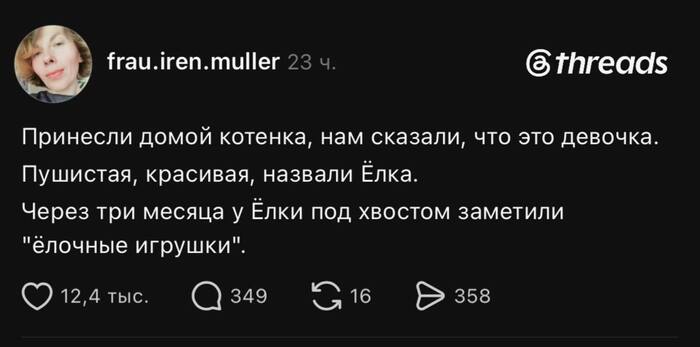 ��������� ����