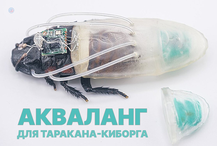 Водолазный костюм для таракана-киборга