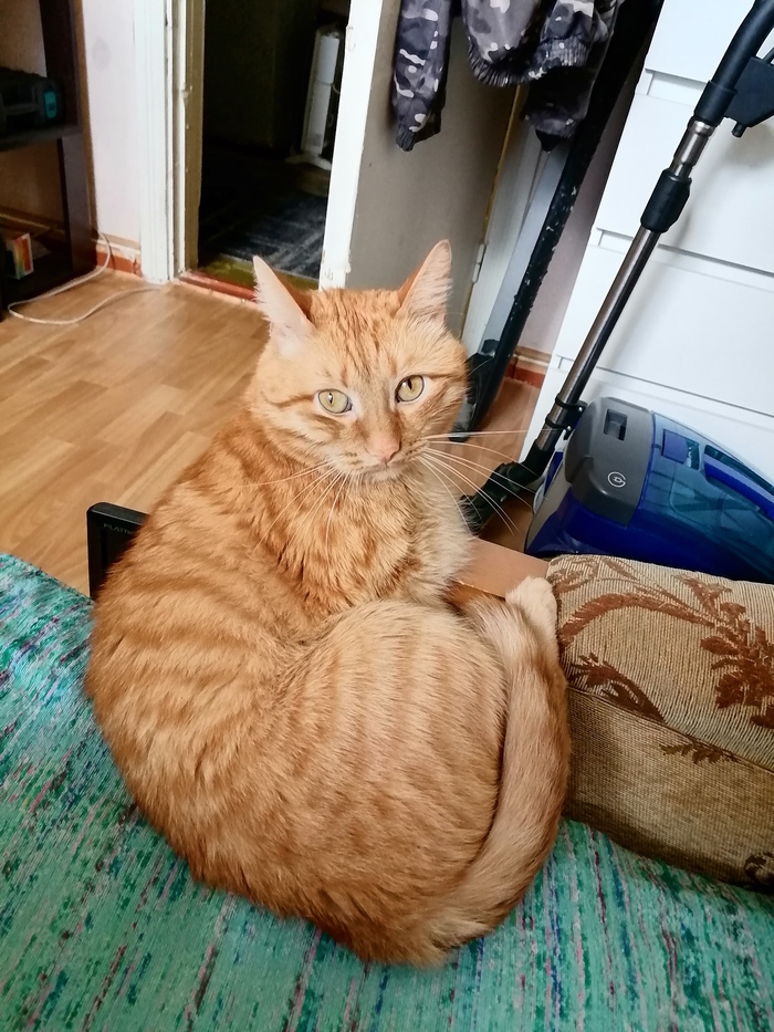 Котэ