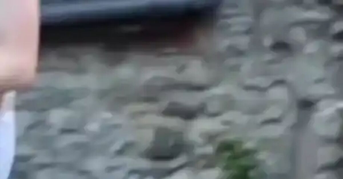 Какие-то неоднозначные ощущения - Музыка, Вертикальное видео, Фредди Меркьюри, Queen, Видео