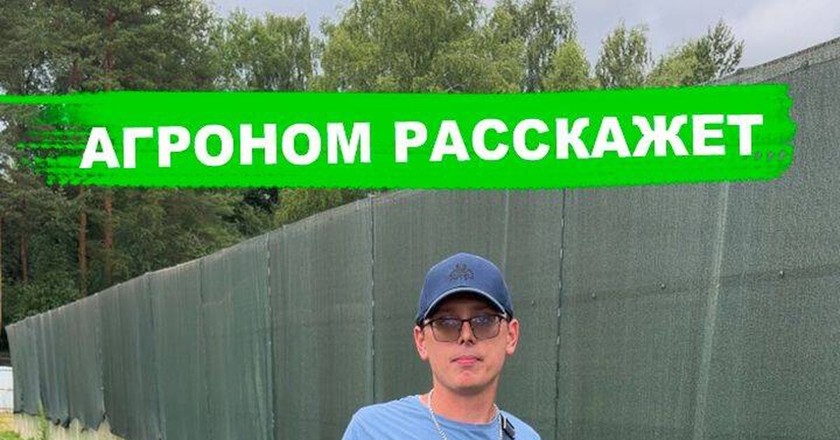 Почему клубника (земляника садовая) мельчает, болеет и начинает давать меньше урожая? Что делать? - Моё, Сад, Огород, Дача, Клубника (растение), Земляника, Растениеводство, Садоводство, Растения, Видео, Rutube, Короткие видео