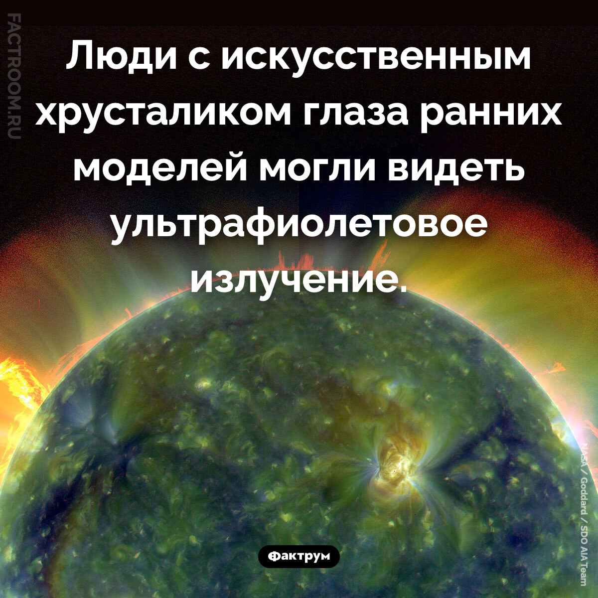Подборка интересных фактов № 273 - Моё, Познавательно, Факты, Подборка, Картинка с текстом, Фактрум, Хочу все знать, Удивительное, Удивление