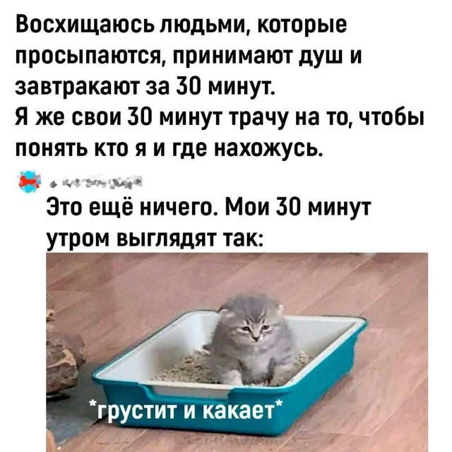 For those interested in memes, here are some - Series Memes
, Humor, Picture with text, Memes, Long, Strange humor, Sad humor, Longpost