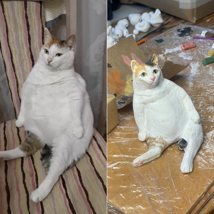 Похожа?