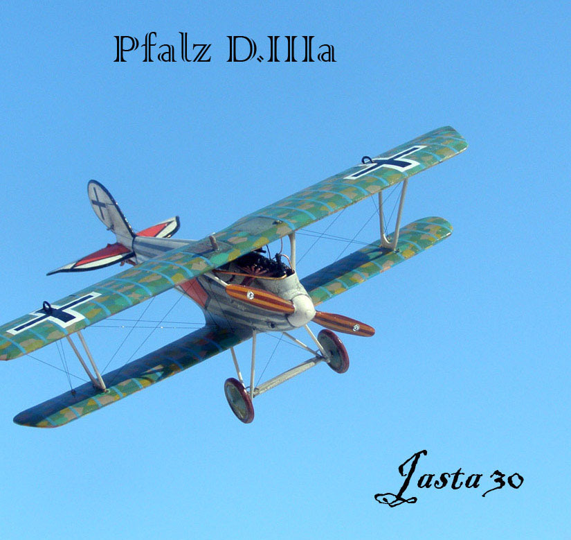 Pfalz D.IIIa – Striped - My, Aviation, Military aviation, Fighter, Aircraft modeling, Stand modeling, Scale model, Longpost