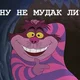 ������ ������������ SergeyVasilich
