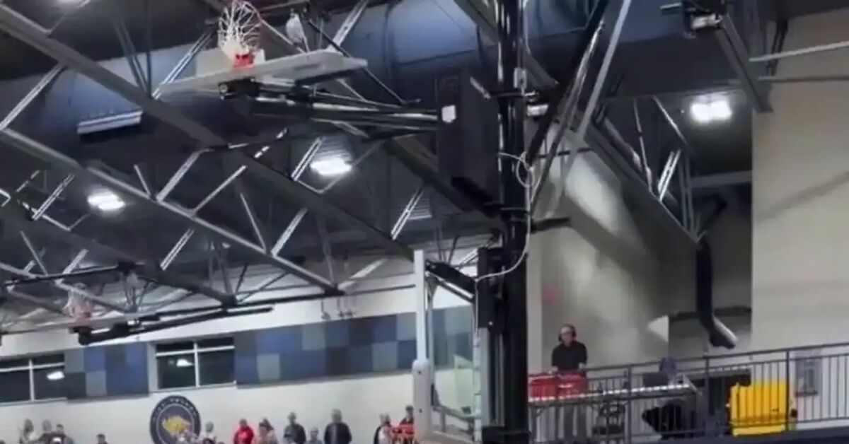 Moments in sports! (when emotions run high!) - Short videos, Vertical video, With sound, Video, Basketball, Sport, School, Healthy lifestyle, Instant, Emotions, Болельщики, Tribune, Watch with sound
