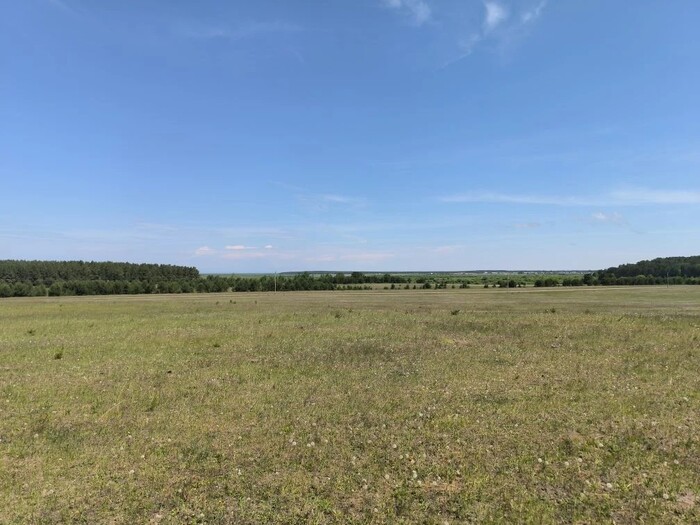 Ответ на пост «Покажите последнюю фотографию, которую вы сделали просто потому что вам было красиво»