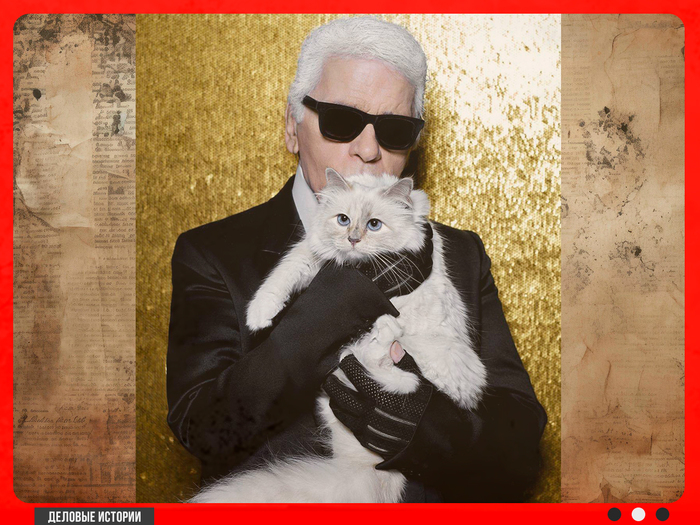���� ���������� � ������ (Choupette)