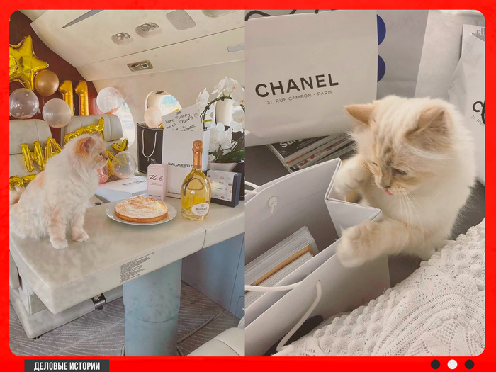����� ������ (Choupette)