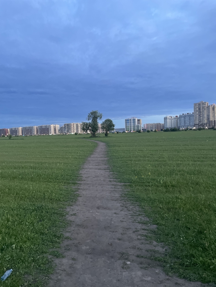 Ответ на пост «Покажите последнюю фотографию, которую вы сделали просто потому что вам было красиво»