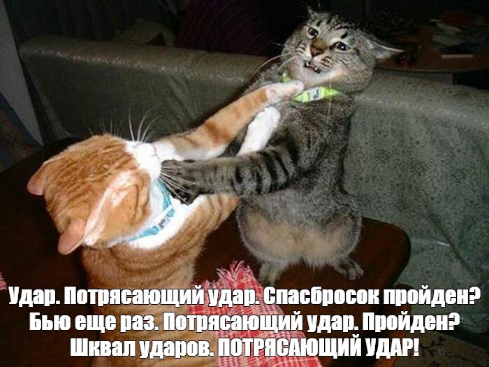 Кнопка «Выключить Мастера», доступная с 5-го уровня