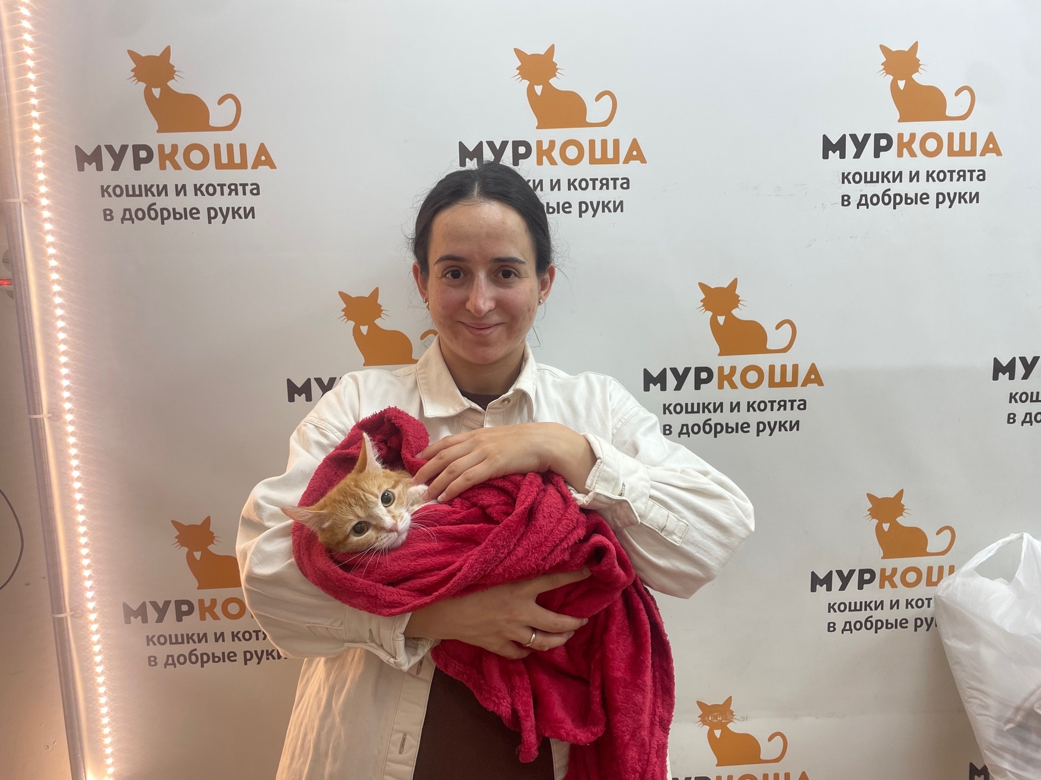 10 kittens have gone home in the last two weeks! - Series Found a home, My, In good hands, Good league, Helping animals, cat, Moscow, Murkosh shelter, Kittens, Paws, Cat lovers, Kindness, Pets, Short videos, Vertical video, Found a home, The photo, Events, Happiness, Miracle, I share my joy, Video, Longpost