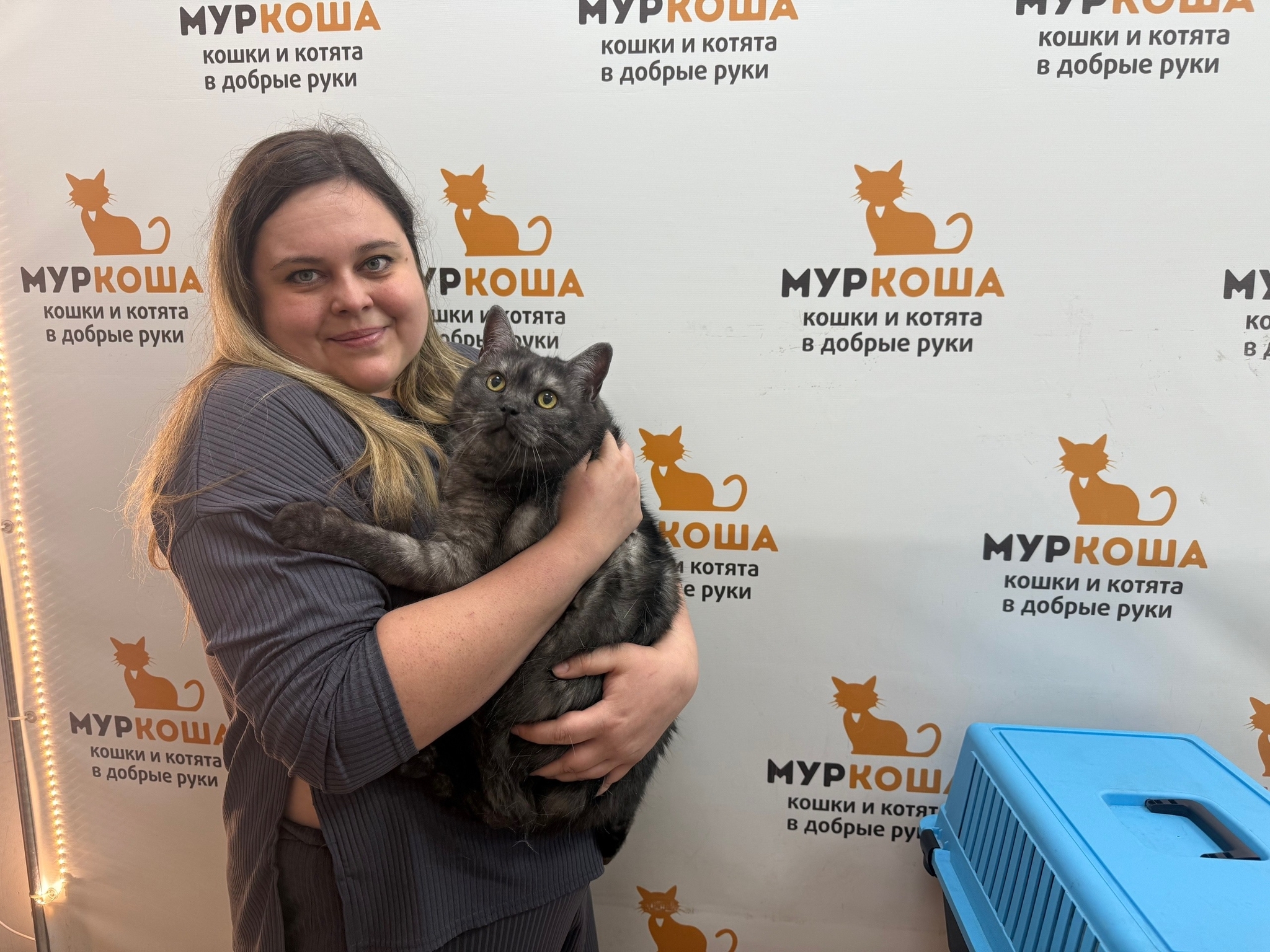 10 kittens have gone home in the last two weeks! - Series Found a home, My, In good hands, Good league, Helping animals, cat, Moscow, Murkosh shelter, Kittens, Paws, Cat lovers, Kindness, Pets, Short videos, Vertical video, Found a home, The photo, Events, Happiness, Miracle, I share my joy, Video, Longpost